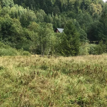 Wild Paradise * Nalepkovo